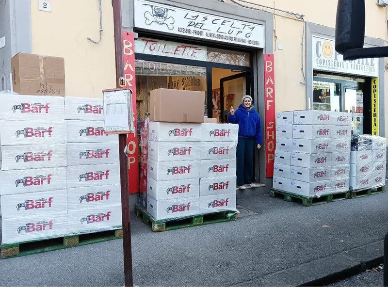 La Scelta del Lupo - Firenze - Foto 4