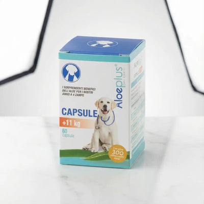 Capsule