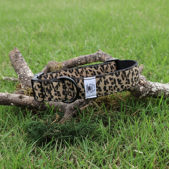 Collare fantasia 4CM L/XL