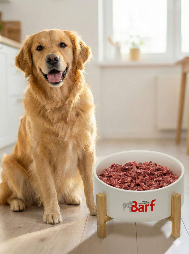Perché scegliere la Dieta BARF?