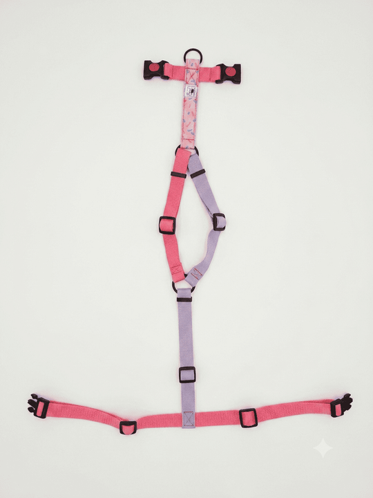 Pettorina "Pink Donut" LIMITED EDITION