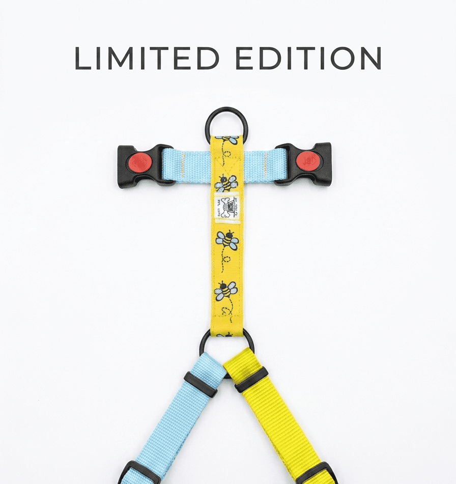 Pettorina "Bee Yourself" LIMITED EDITION