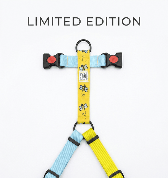 Pettorina "Bee Yourself" LIMITED EDITION