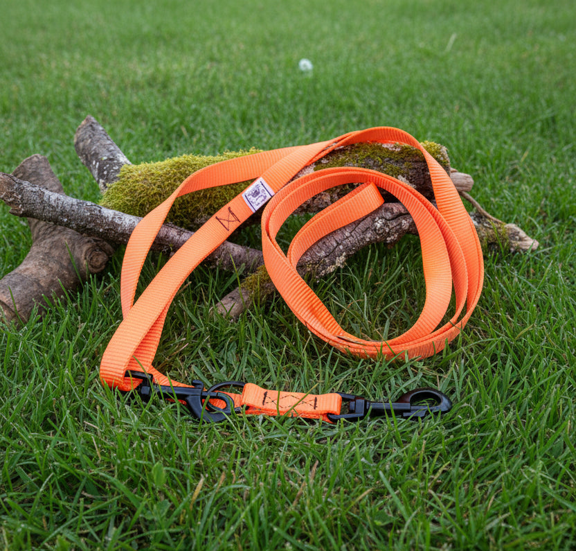 Guinzaglio 1,5-3mt - arancio neon