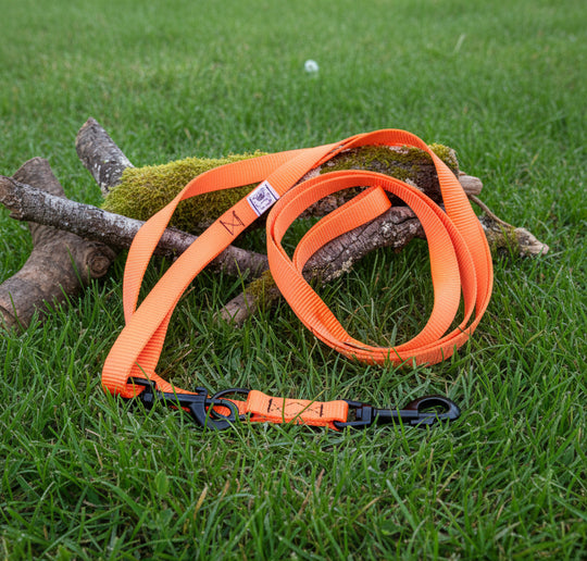 Guinzaglio 1,5-3mt - arancio neon