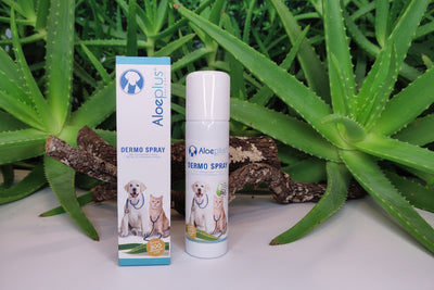 Aloeplus Dermospray