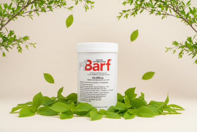 Alga Chlorella