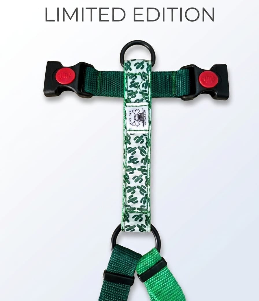 Pettorina Cactus "LIMITED EDITION"