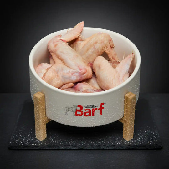 Ali Di Pollo