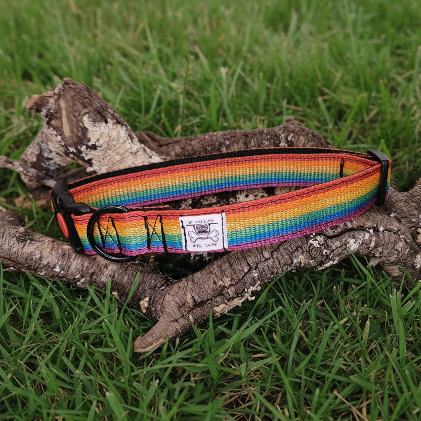 Collare fantasia - rainbow 2