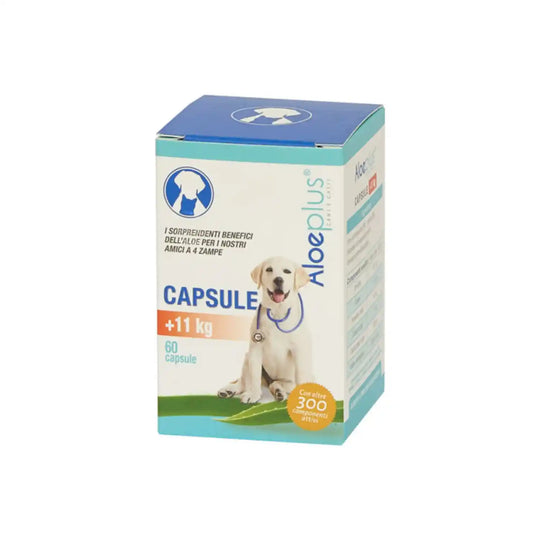 Capsule