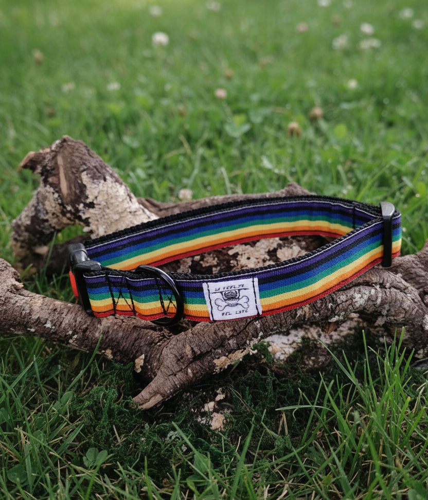 Collare fantasia - rainbow 1