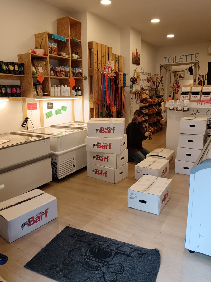 La Scelta del Lupo - Firenze - Foto 10