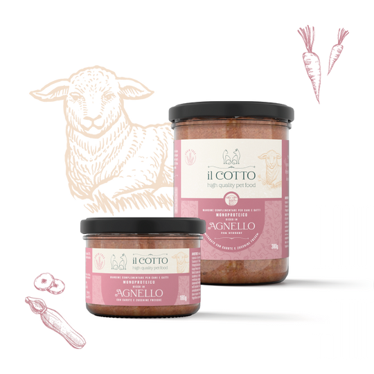 Il cotto "Agnello"