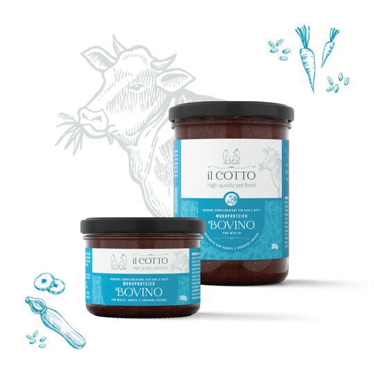 Il cotto " Bovino"