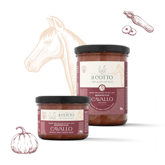 Il cotto "Cavallo con Patate"